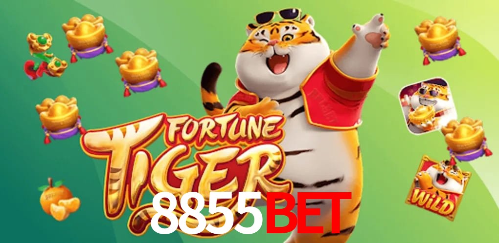 Player Reviews 8855BET